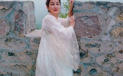 晴雅集为什么被禁